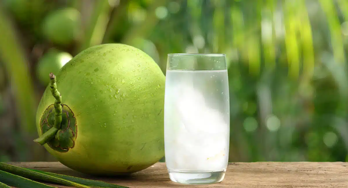 Coconut Water : మీరు కొబ్బరి నీళ్లు తాగుతున్నారా..? అయితే ఈ విషయాలు తప్పక తెలుసుకోవాలి...!