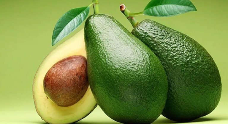 Avocado : ఈ విదేశీ పండుతో ఎన్ని ప్రయోజనాలో… ఎలాంటి సమస్యకైనా చక్కటి పరిష్కారం…!