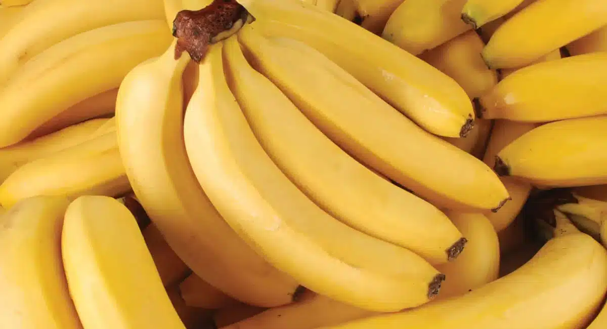 Banana : అరటిపండే కదా అని సింపుల్ గా తీసుకుంటున్నారా..? రోజుకొకటి తింటే అద్భుతాలే చూస్తారు..