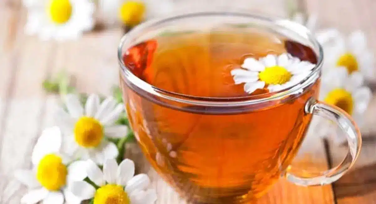 Chamomile Tea : చామంతి టీతో ఎన్నో ప్రయోజనాలు.. రాత్రి తాగితే సర్వరోగాలు మాయం..!