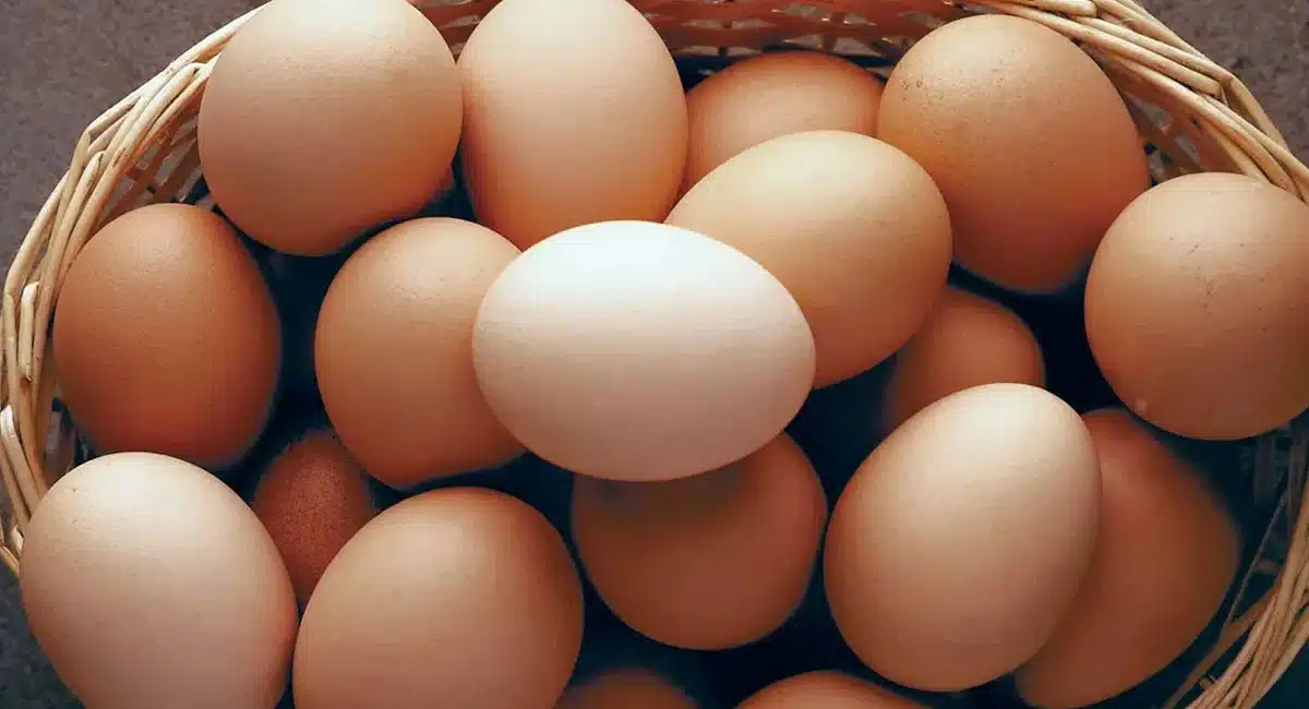 Eggs : జాగ్రత్త; ఈ వేసవిలో గుడ్డు తింటున్నారా.? వామ్మో ఈ సమస్యలు తప్పవట..!