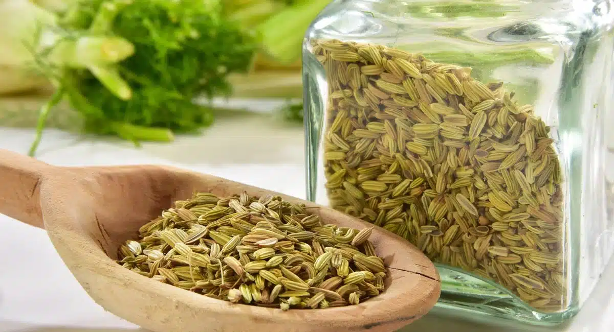 Fennel : సోంపును ఇలా తింటే షుగర్ లెవల్స్ మొత్తం కంట్రోల్..!