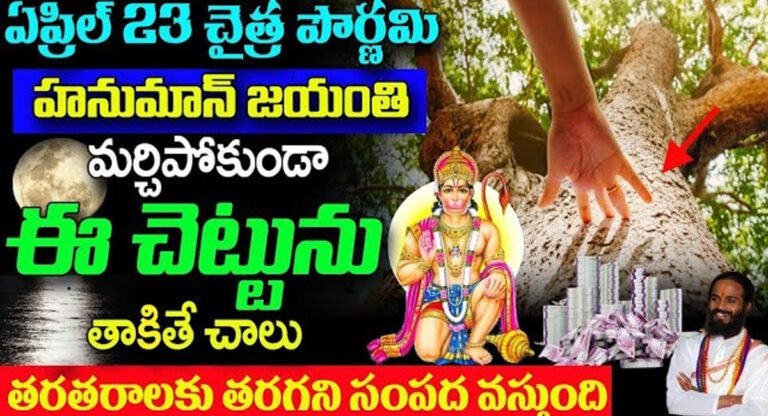 Hunuman Jayanthi : ఏప్రిల్ 23 చైత్ర పౌర్ణమి హనుమాన్ జయంతి… మర్చిపోకుండా ఈ చెట్టుని తాకితే చాలు…!
