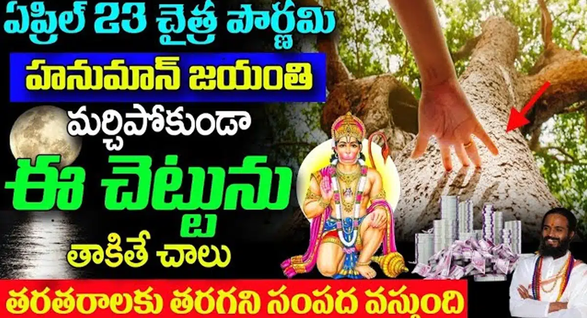 Hunuman Jayanthi : ఏప్రిల్ 23 చైత్ర పౌర్ణమి హనుమాన్ జయంతి... మర్చిపోకుండా ఈ చెట్టుని తాకితే చాలు...!