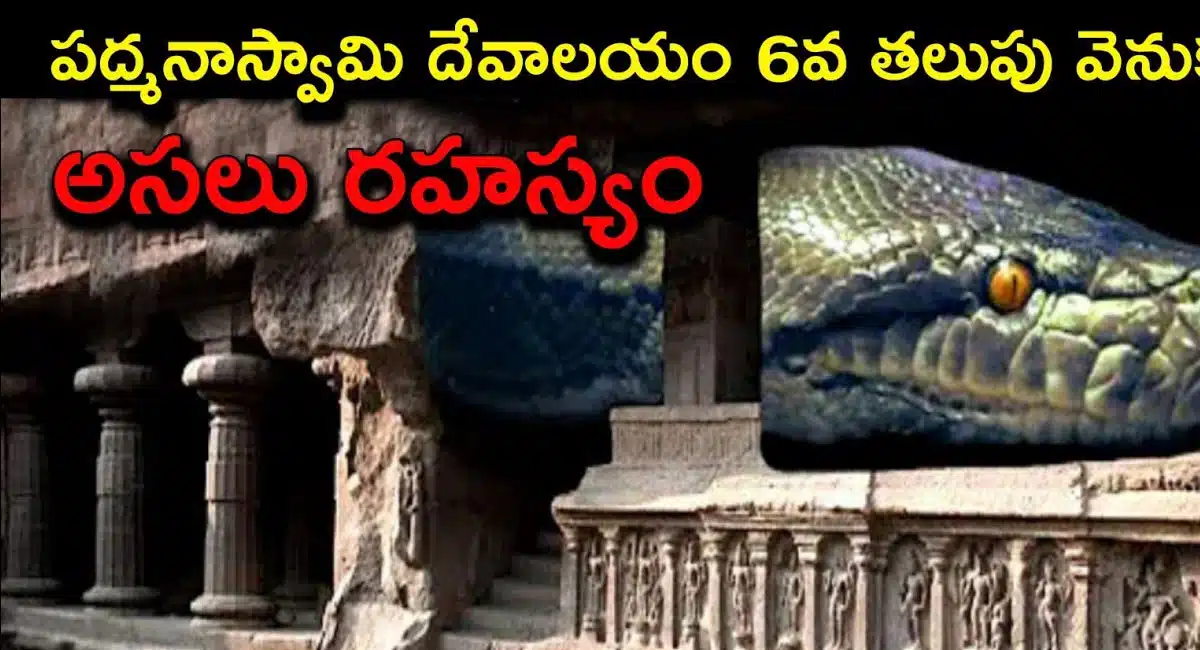 Padmanabha Swamy Temple : పద్మనాభ స్వామి దేవాలయం 6 తలుపు వెనక ఉన్న అసలు నిజం బయటపడింది..!