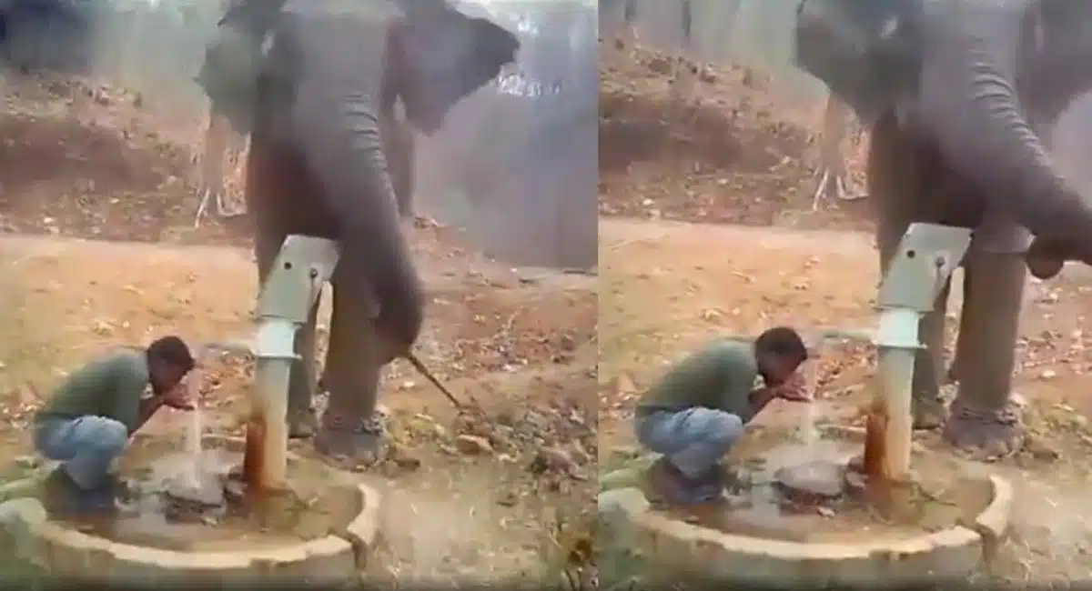 Viral Video : దాహంతో ఉన్న మ‌నిషికి నీళ్లు అందించిన ఏనుగు.. వీడియో చూసి అంద‌రు షాక్