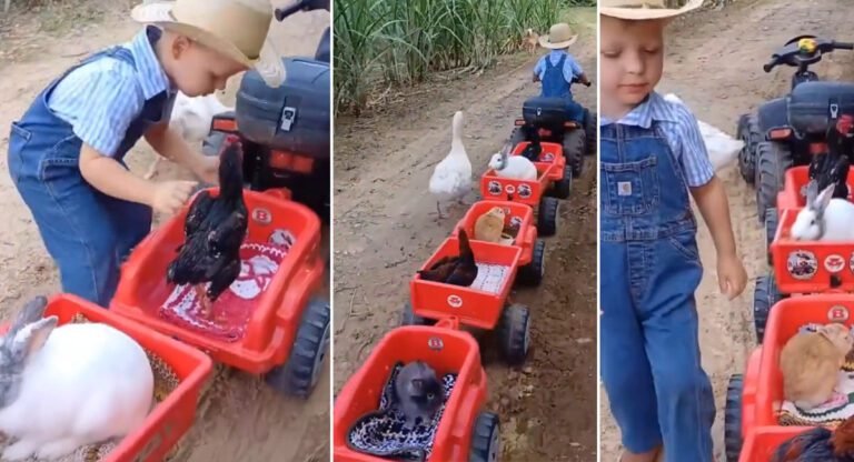 Viral Video : ఈ బుడ్డోడి బండిలో ఎవరిని తీసుకెళ్తున్నాడో చూడండి..!