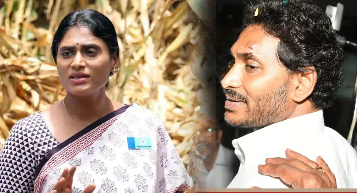 Ys Sharmila : జ‌గ‌న్ గాయంపై ఆయ‌న చెల్లి ష‌ర్మిళ అలా స్పందించ‌డ‌మేంటి..!