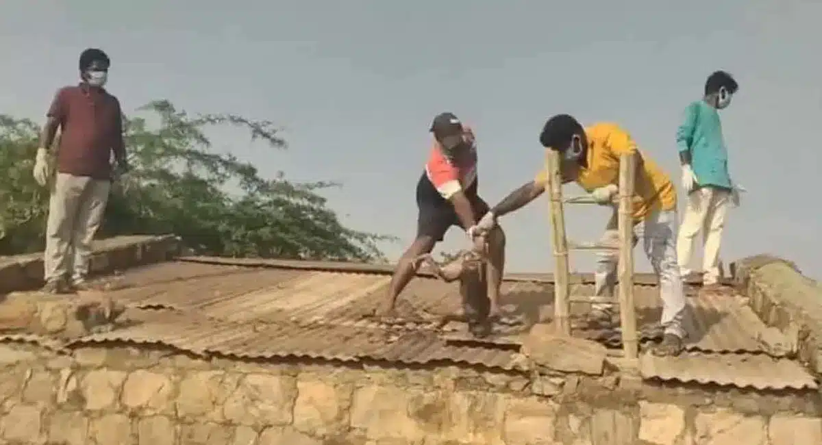 Monkeys : నల్గొండ జిల్లాలో అధికారుల నిర్లక్ష్యం...మంచినీటి ట్యాంకులో 30 కోతులు మృత్యువాత...