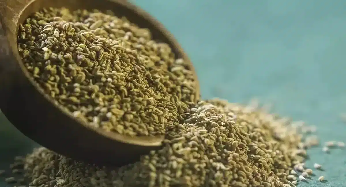 Ajwain : ఆరోగ్యానికి మేలు చేసే వాము... రోజు తింటే ఎన్ని లాభాలో...!