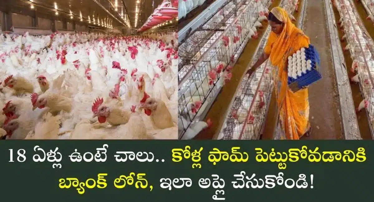 Chicken Farm : కోళ్ల ఫారం పెట్టుకోవడానికి బ్యాంకు లోన్... ఇలా అప్లై చేయండి...!