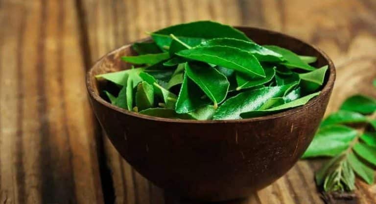 Curry leaves : కరి వేపాకును ఇలా తినండి… శరీరంలో ఉన్న కొవ్వు ఇట్టే మాయం….!