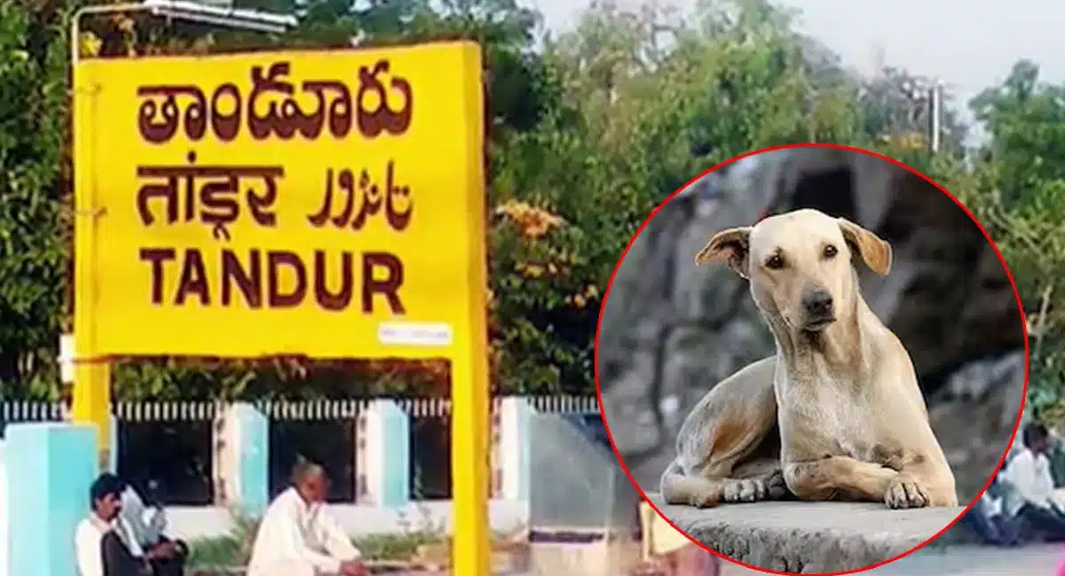 Pet Dog : చాలా దారుణం.. ఐదు నెల‌ల ప‌సికందుని పీక్కుతిన్న పెంపుడు కుక్క‌..!