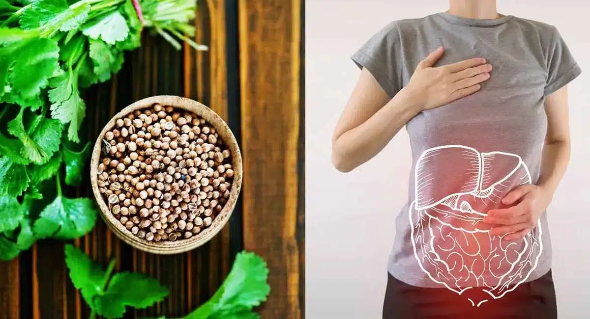Drinking Water : ఖాళీ క‌డుపుతో కొత్తిమీర నీళ్లు తాగితే ఎన్ని ప్రయోజ‌నాలు ఉన్నాయో తెలుసా?
