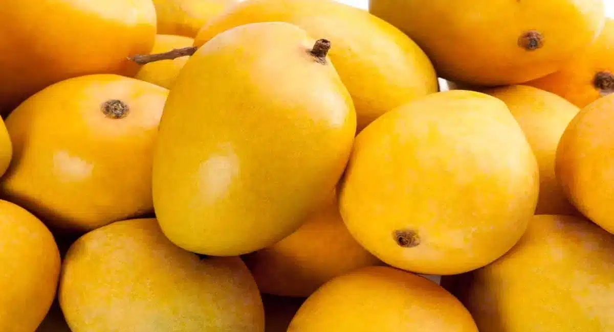 Mangoes : వేసవిలో మామిడి పండ్లను ఎక్కువగా తింటున్నారా... ఈ పదార్థాలతో కలిపి అస్సలు తినకండి జాగ్రత్త....!