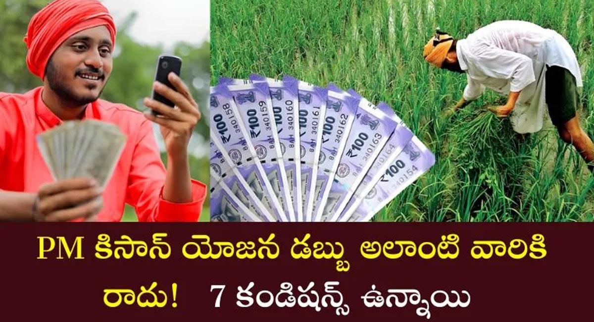 PM Kisan : PM కిసాన్ యోజన డబ్బుకు ఎవరు అనర్హులు 7 షరతులు