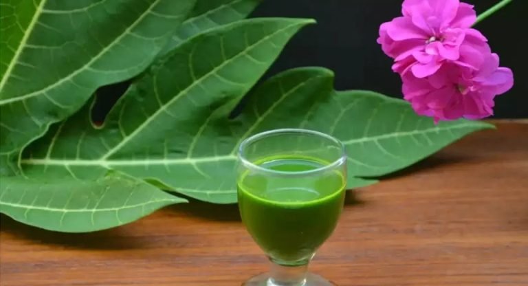 Papaya Leaf : ఈ ఆకు తీసుకుంటే చాలు… కిడ్నీలు, కాలేయం,గుండె సమస్యలకు చెక్ పెట్టినట్లే…!