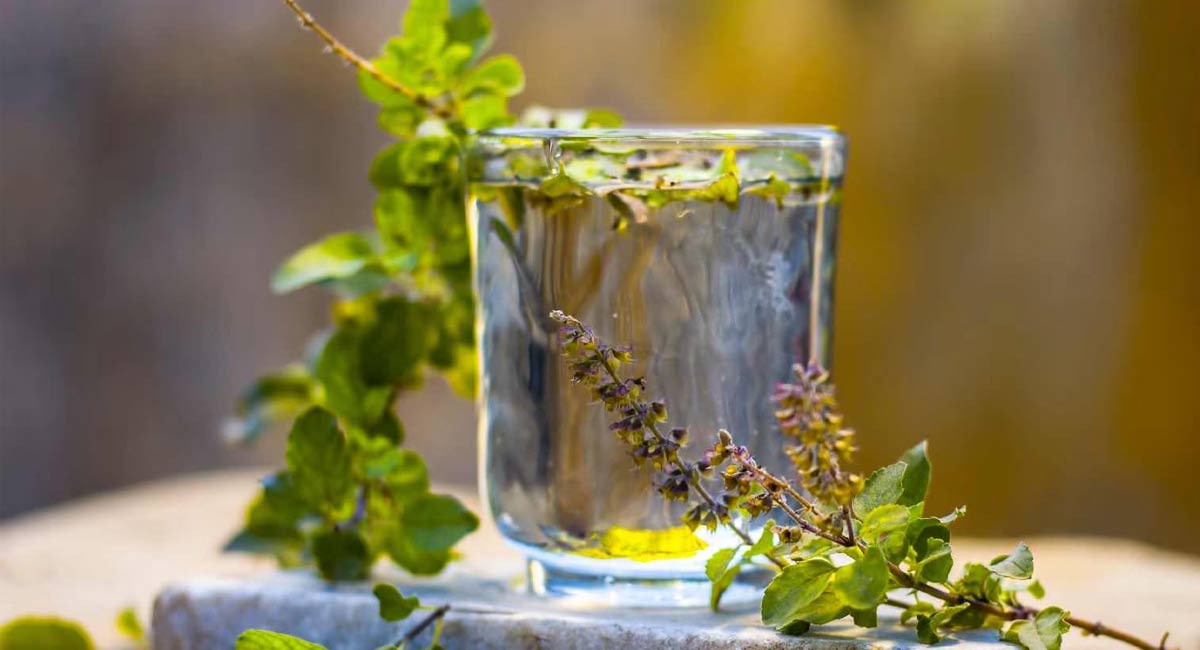 Tulsi Water : పరిగడుపున తులసి నీళ్లు తాగితే బోలెడు ప్రయోజనాలు.. అవేంటంటే..!