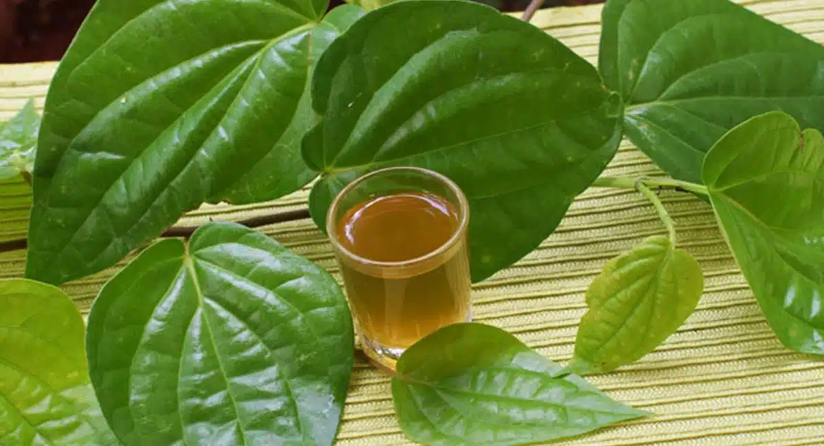 Betel Leaf : తమలపాకు లో ఎన్ని ఆరోగ్య ప్రయోజనాలు ఉన్నాయో తెలుసా...!