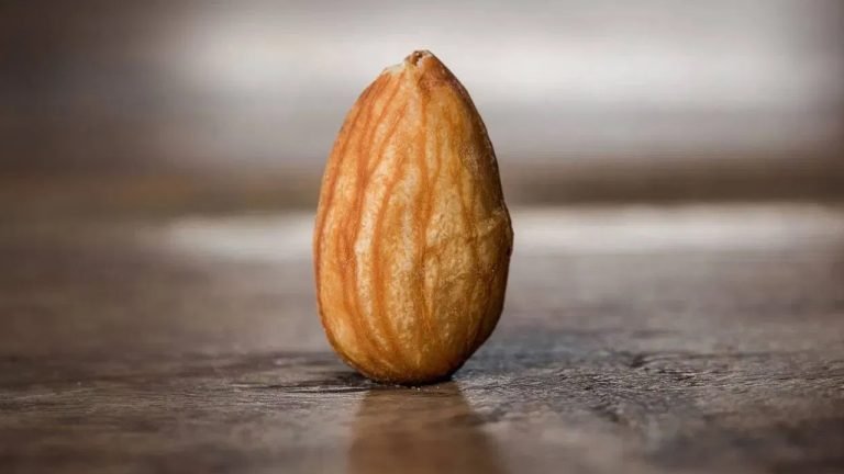 Almond : ప్రతి రోజు బాదం తినడం వల్ల ఎన్ని ఆరోగ్య ప్రయోజనాలో తెలుసా…!