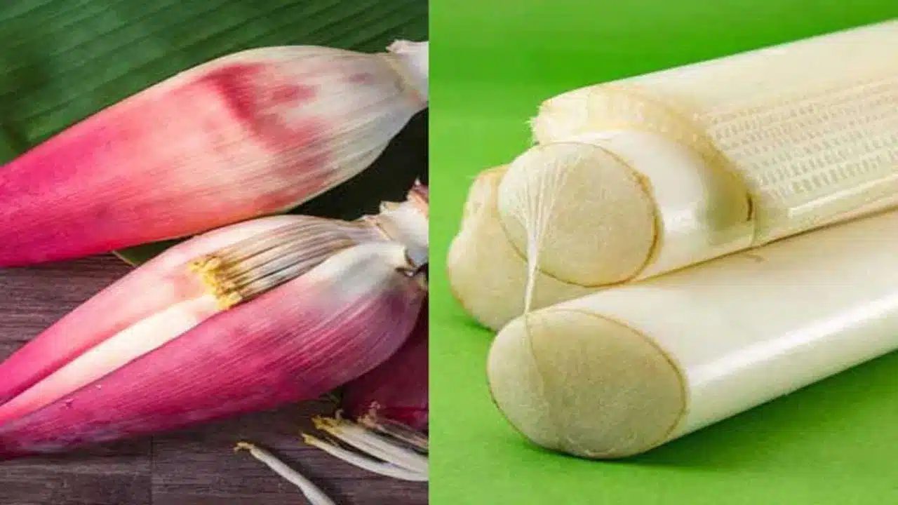Banana Stem : అరటి కాండం ఆరోగ్యానికి అమృత భాండం... నెల‌కు ఒక్క‌సారైన తినండి..!