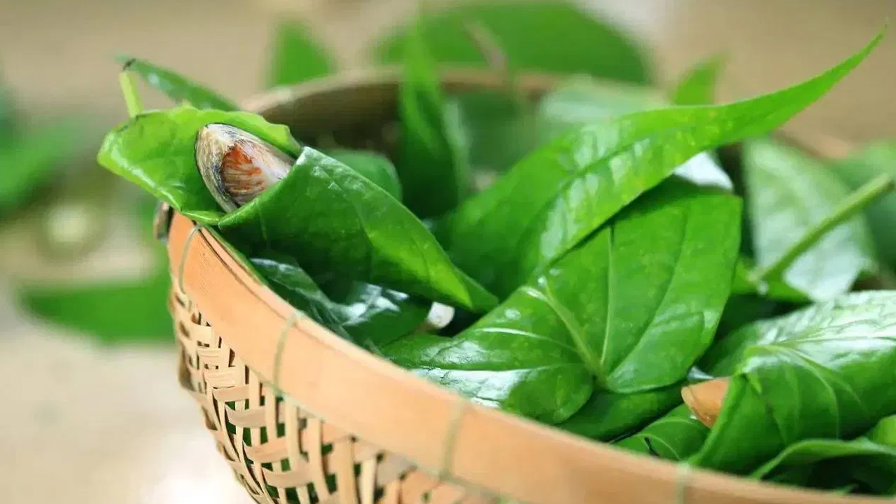 Betel Leaves : తమలపాకులో అద్భుత ఆరోగ్య ప్రయోజనాలు.. తెలిస్తే ఆశ్చర్యపోతారు..!