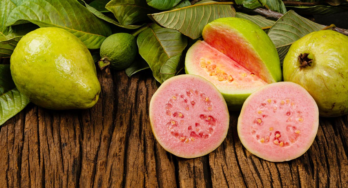 Guava Benefits : డయాబెటిస్ పేషెంట్లు జామ పండును తినే ముందు కొన్ని చిట్కాలు పాటిస్తే… షుగర్ కంట్రోల్ చెయ్యొచ్చు…!