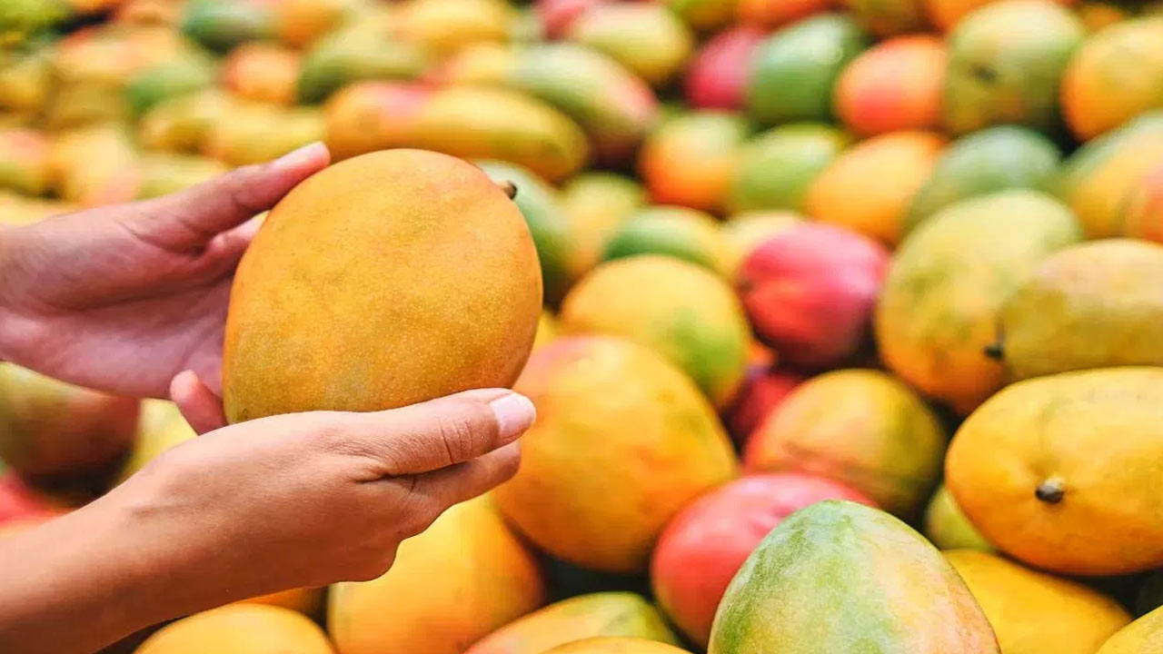 Mangoes : వామ్మో.. మార్కెట్లోకి వచ్చిన నకిలీ మామిడి పండ్లు… అసలు విషయం ఏంటంటే…!