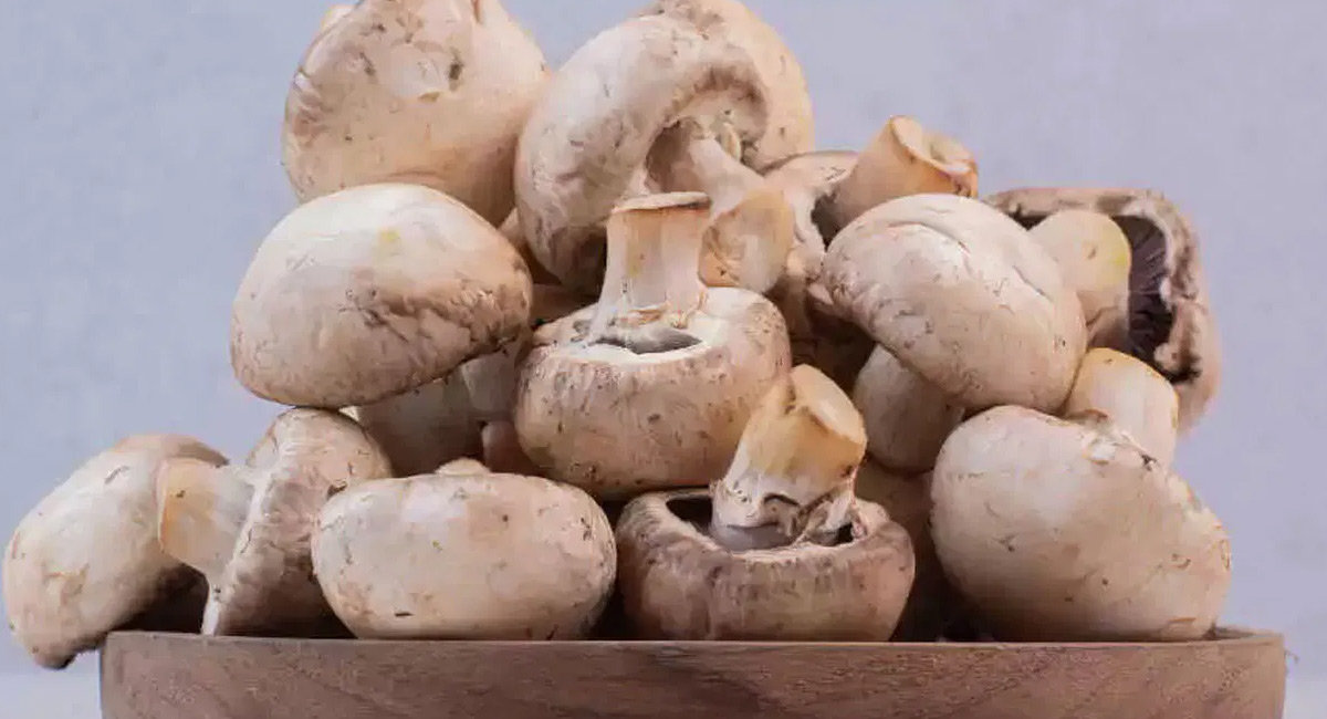 Mushrooms : డయాబెటిస్ కి పుట్టగొడుగులు మంచిదా…కాదా…!