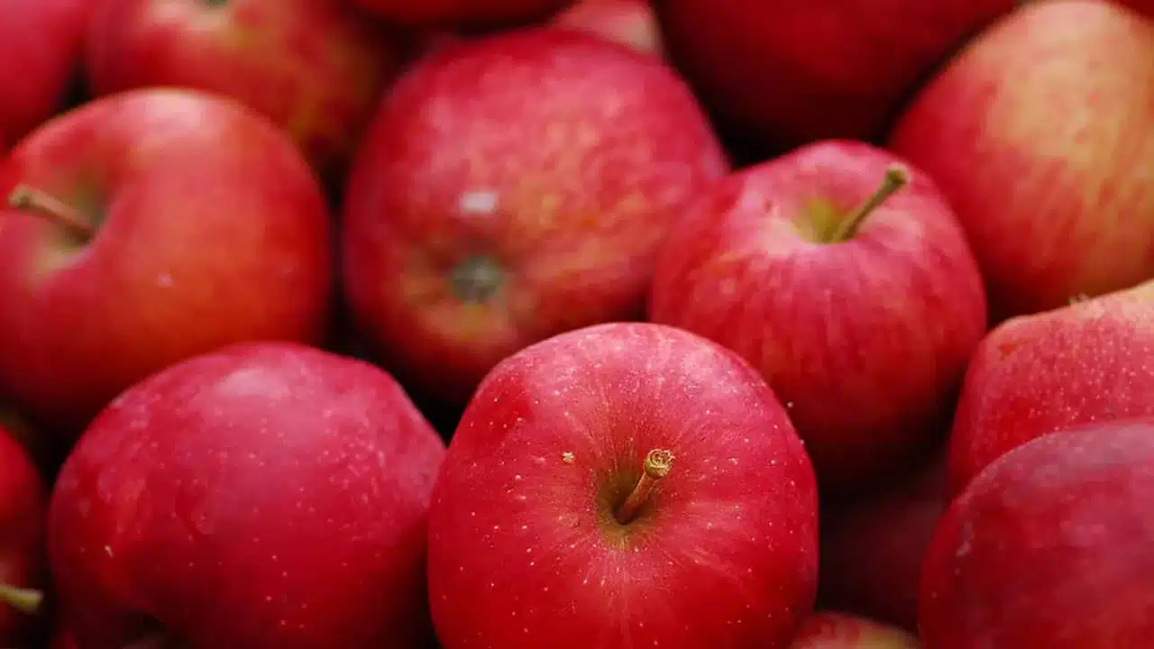 Apple : ఆపిల్ లో బ్యాక్టీరియా... తింటే ఏం జరుగుతుంది...!