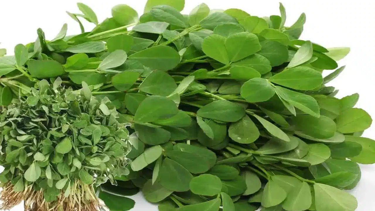 Fenugreek Leaves : పరిగడుపున ఈ ఆకులను తీసుకుంటే చాలు... ఆ సమస్యలన్నీ మాయం...!