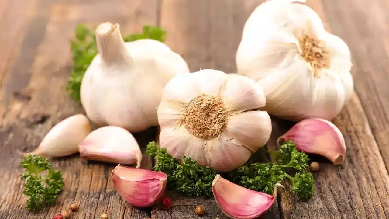 Garlic : పరిగడుపున వెల్లుల్లి రసాన్ని తీసుకుంటే చాలు... జిమ్ కు వెళ్లే అవసరం ఉండదు..!