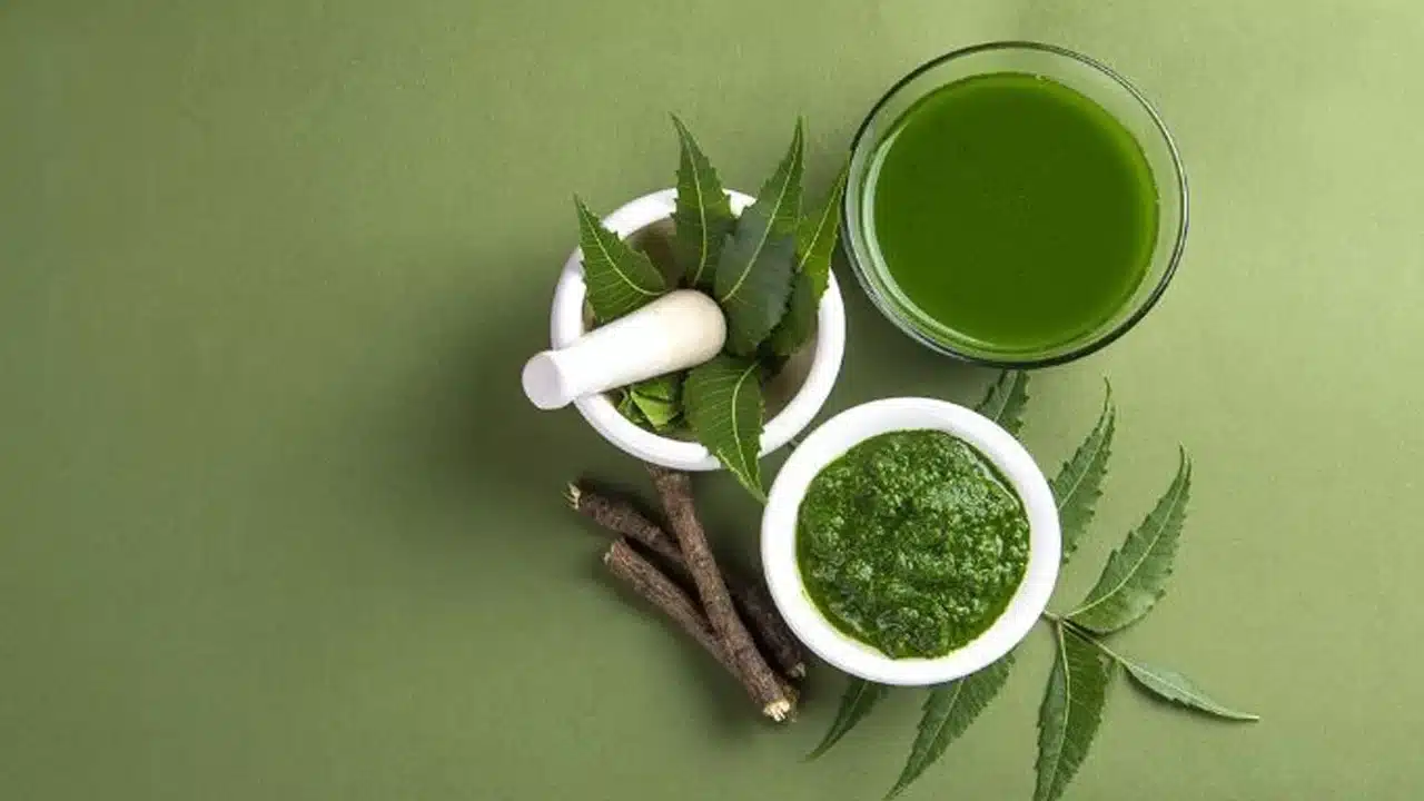 Health Benefits : ఖాళీ కడుపుతో వేపాకులను తీసుకుంటే ఎన్ని ఆరోగ్య ప్రయోజనాలు తెలుసా...!