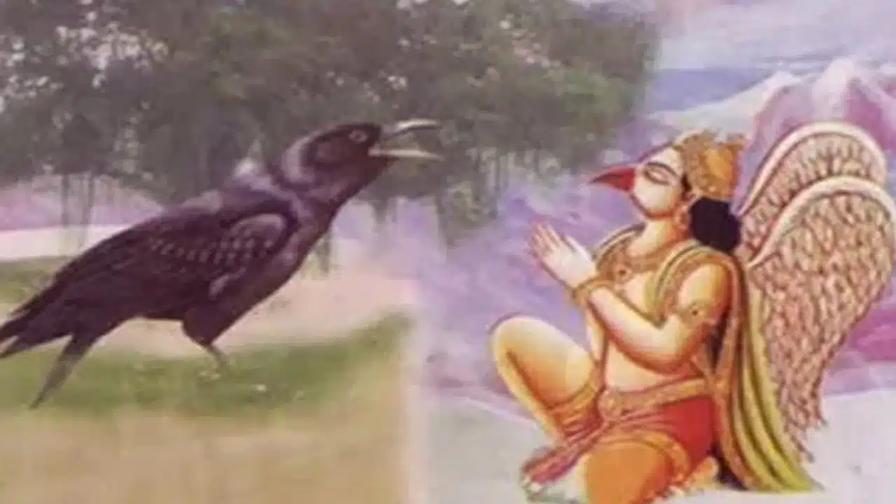 Kakabhushundi : రామాయణంలో కాకభూషుండి గురించి మీకు తెలుసా...!