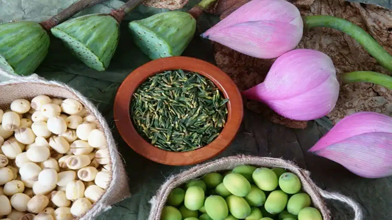 Lotus Seeds : తామర గింజలను ఇలా గనక తింటే... క్యాన్సర్ లాంటి ఎన్నో వ్యాధులకు చెక్ పెట్టినట్లే...!