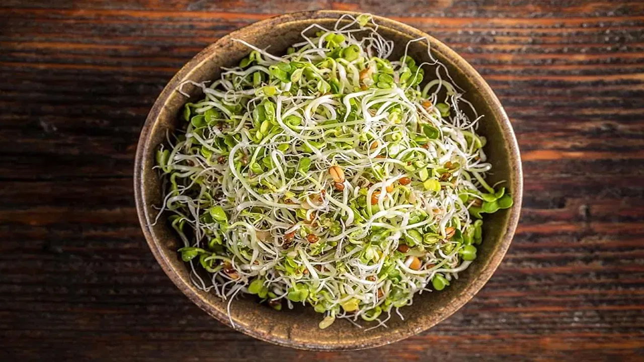 Moong Sprouts : పరిగడుపున మొలకెత్తిన పెసర్లను తీసుకోండి… ఈ సమస్యలకు చెక్ పెట్టండి…