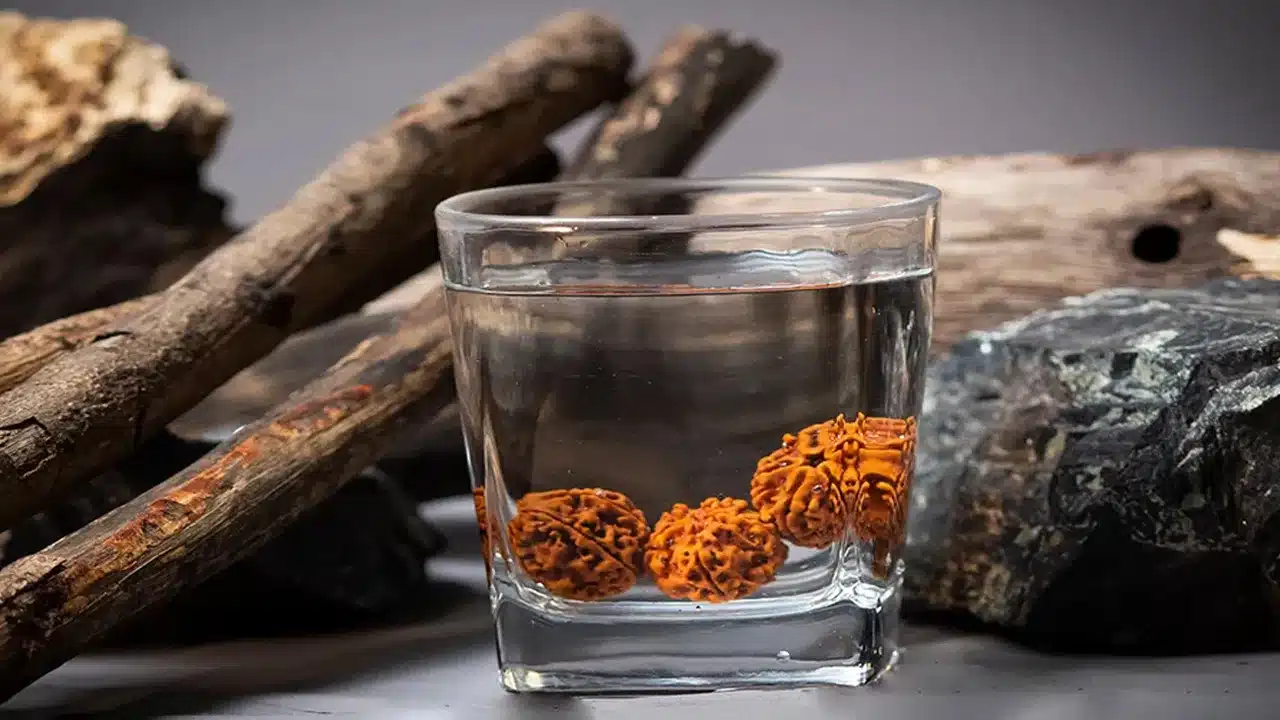 Rudraksha : రుద్రాక్షను ధరించండి... ఆరోగ్య సమస్యలకు చెక్ పెట్టండి...!