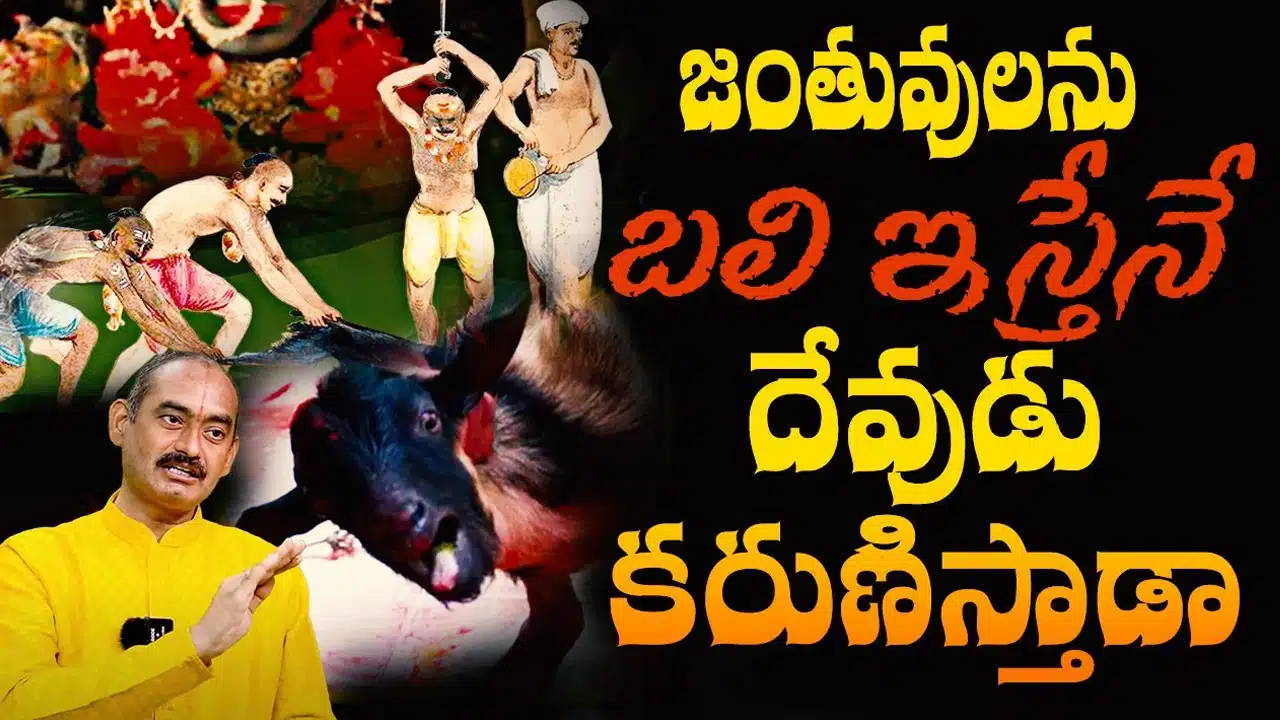జంతువులను బలిస్తే దేవుడు కరుణిస్తాడు అనేది నిజమేనా... అసలు వాస్తవం ఇదే...!