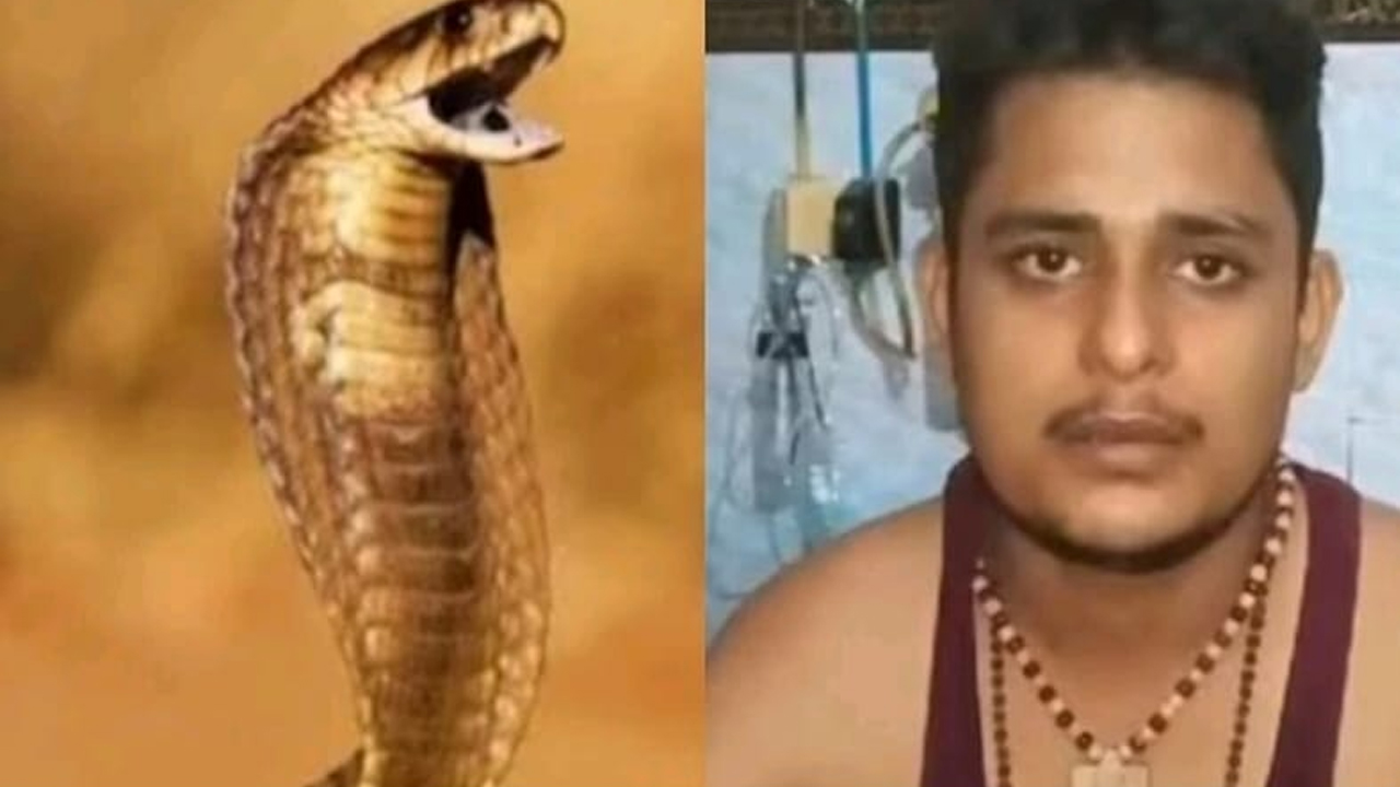 Snake : 35 రోజుల్లో ఒకే వ్య‌క్తిని ఆరు సార్లు కాటేసిన పాము.. బ్ర‌తికాడా, చనిపోయాడా..!