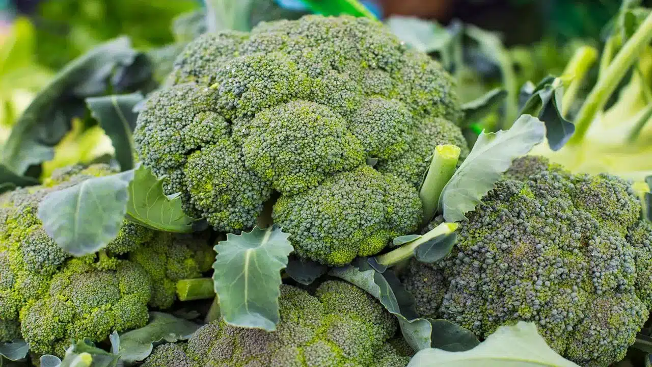 Broccoli : ఈ బ్రోకలీలో ఎన్ని ఆరోగ్య ప్రయోజనాలు ఉన్నాయో తెలుసా...