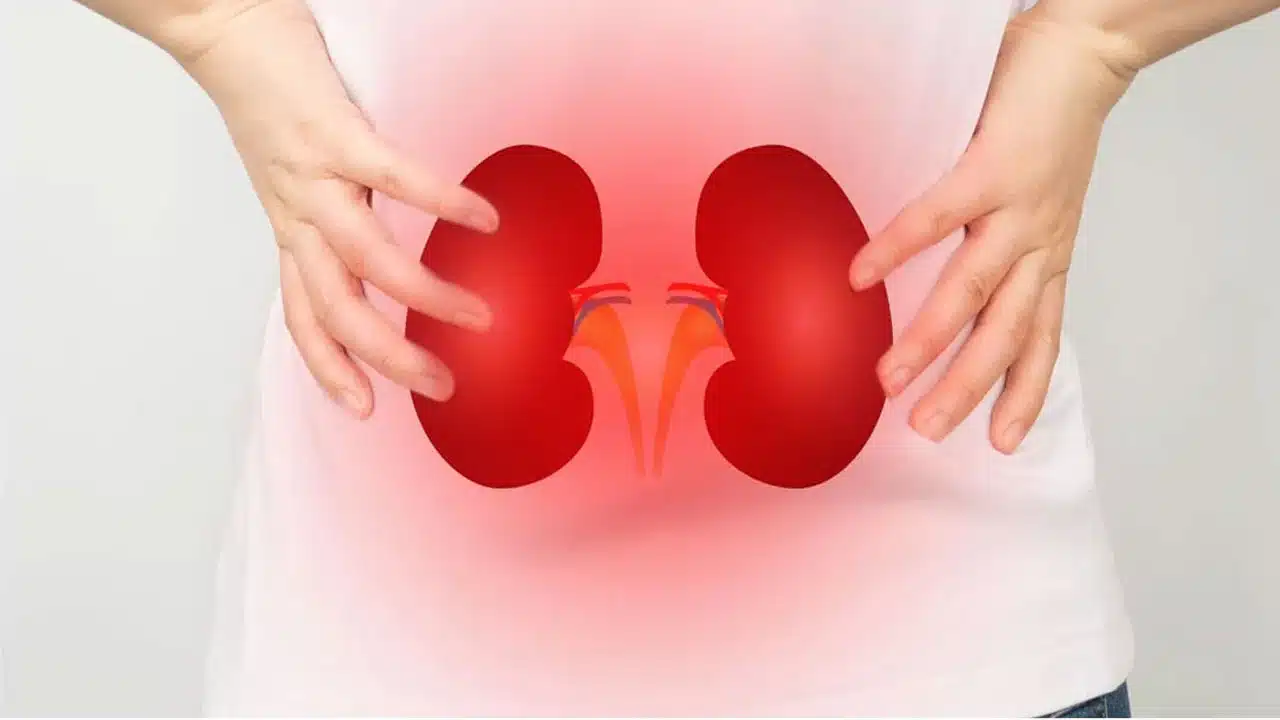 kidney : మన చెడు అలవాట్లే కిడ్నీలను పాడు చేస్తాయంట తెలుసా...!