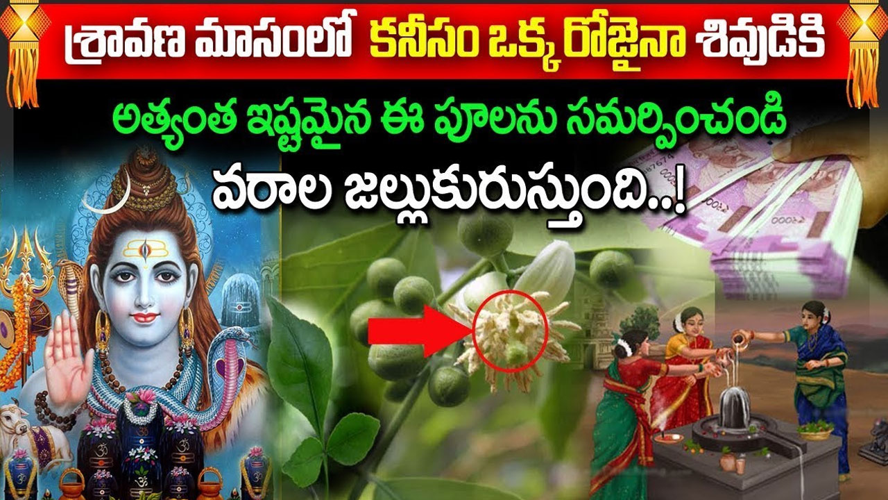 Shravana Masam : శ్రావణమాసంలో ఈ పువ్వులతో శివుడిని పూజిస్తే కటిక దరిద్రమైన తీరిపోతుంది…!!