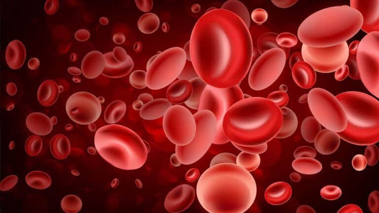 Blood Platelet : డెంగ్యూ లేకున్నా రక్తంలో ప్లేట్ లైట్ సంఖ్య తగ్గటానికి కారణం ఏమిటి…ఈ లక్షణాలు కనిపిస్తే… జాగ్రత్త…!
