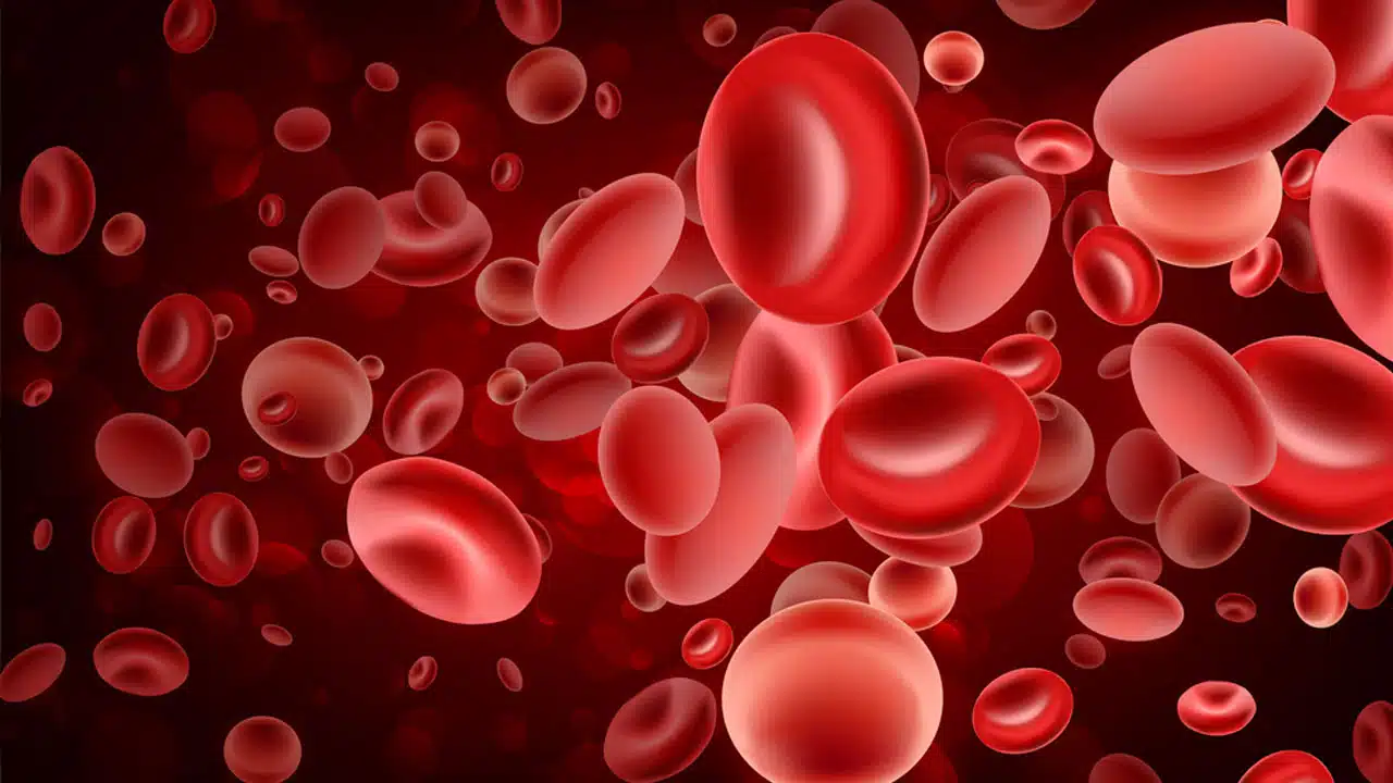 Blood Platelet : డెంగ్యూ లేకున్నా రక్తంలో ప్లేట్ లైట్ సంఖ్య తగ్గటానికి కారణం ఏమిటి...ఈ లక్షణాలు కనిపిస్తే... జాగ్రత్త...!