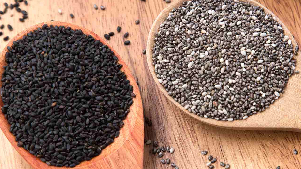 Chia Vs Sabja Seeds : చియా vs సబ్జా విత్తనాల మధ్య వ్యత్యాసం ఏమిటి…  వీటితో ఎలాంటి లాభాలు ఉన్నాయి…!