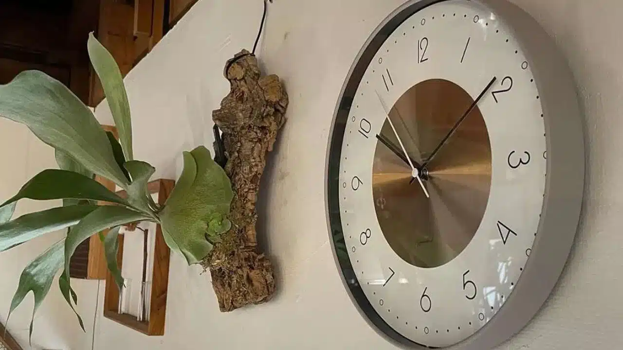 Clock : ఇంట్లో గడియారం ఏ దిశగా పెడితే మంచిది... వాస్తు శాస్త్రం ఏం చెబుతుందంటే..!