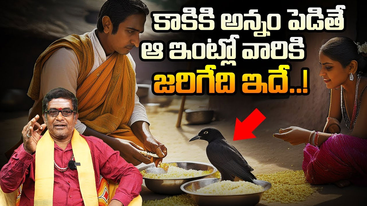 Crow : మీ ఇంట్లో కాకికి అన్నం పెడితే ఇలా జరగక తప్పదు.. తప్పక తెలుసుకోవాల్సిన నిజాలు….