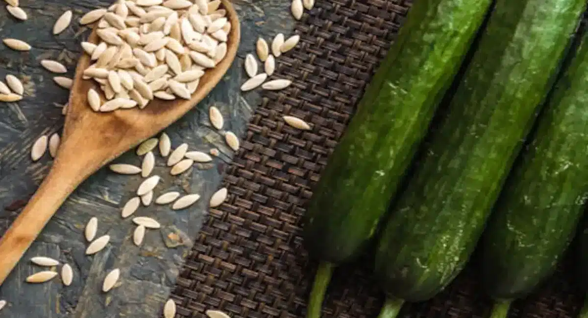 Cucumber Seeds : దోస గింజల వల్ల కలిగే ప్రయోజనాలు మీకు తెలిస్తే అస్స‌లు వ‌ద‌ల‌రు...