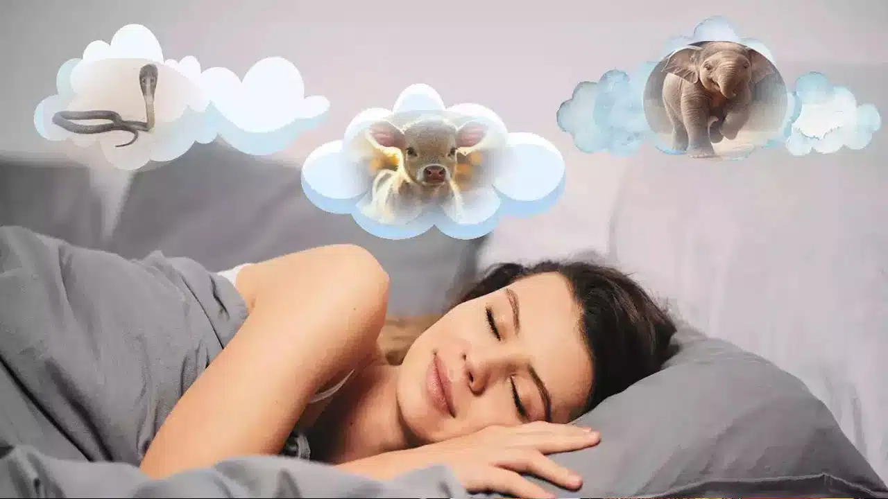 Dreams : కలలో ఈ జంతువులు కనిపిస్తే రాజయోగం పట్టినట్లే...!