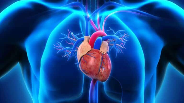 Heart : గుండె ఆరోగ్యం కోసం… తీసుకోవలసిన ఆహారాలు ఇవే…!